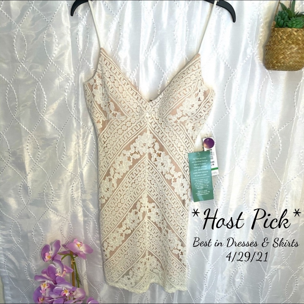 Reign On ivory nude lace mini dress sz 5/6